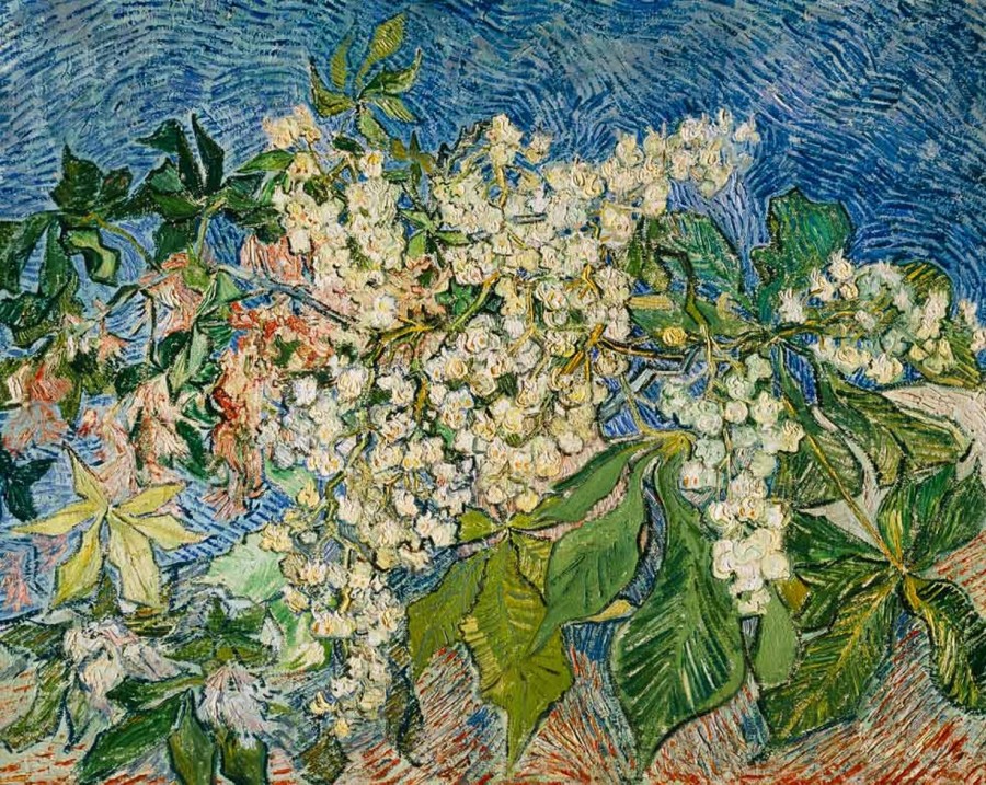 Vincent van Gogh | Master apollon Zweige blühender Kastanienbäume - Van Gogh