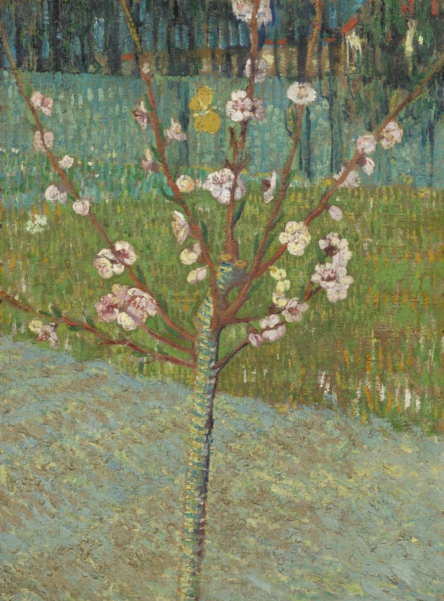 Vincent van Gogh | Master apollon Blühender Mandelbaum - Van Gogh