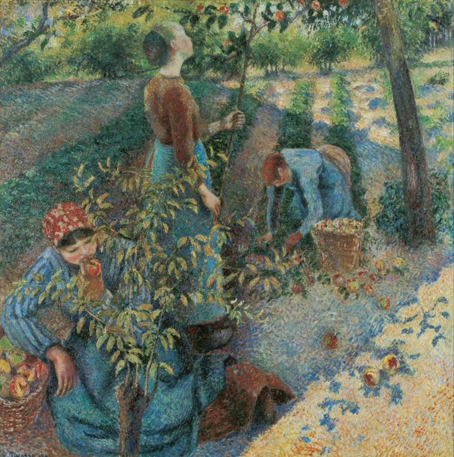 Camille Pissarro | Master apollon Apfelpflücken – Camille Pissarro