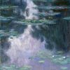 Claude Monet | Master apollon Die Seerosen 1907 - Claude Monet